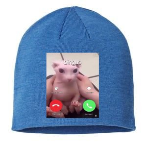 Bingus Is Calling My Beloved Hairless Sphinx Cat Gift Sustainable Beanie