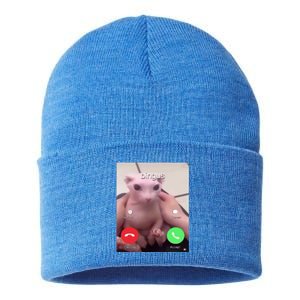 Bingus Is Calling My Beloved Hairless Sphinx Cat Gift Sustainable Knit Beanie