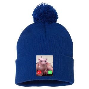 Bingus Is Calling My Beloved Hairless Sphinx Cat Gift Pom Pom 12in Knit Beanie