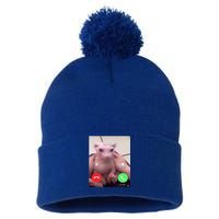 Bingus Is Calling My Beloved Hairless Sphinx Cat Gift Pom Pom 12in Knit Beanie