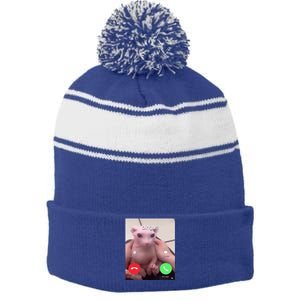 Bingus Is Calling My Beloved Hairless Sphinx Cat Gift Stripe Pom Pom Beanie