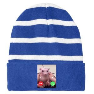 Bingus Is Calling My Beloved Hairless Sphinx Cat Gift Striped Beanie with Solid Band