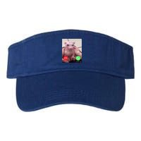 Bingus Is Calling My Beloved Hairless Sphinx Cat Gift Valucap Bio-Washed Visor