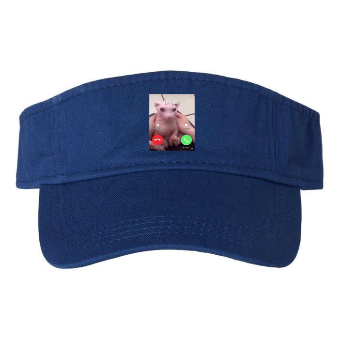 Bingus Is Calling My Beloved Hairless Sphinx Cat Gift Valucap Bio-Washed Visor