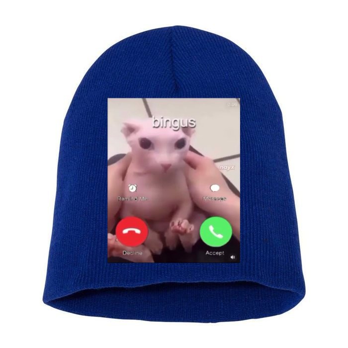 Bingus Is Calling My Beloved Hairless Sphinx Cat Gift Short Acrylic Beanie