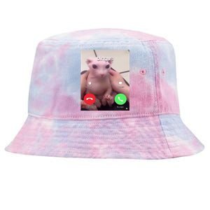 Bingus Is Calling My Beloved Hairless Sphinx Cat Gift Tie-Dyed Bucket Hat