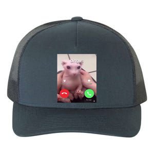 Bingus Is Calling My Beloved Hairless Sphinx Cat Gift Yupoong Adult 5-Panel Trucker Hat