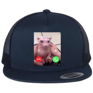 Bingus Is Calling My Beloved Hairless Sphinx Cat Gift Flat Bill Trucker Hat