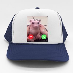 Bingus Is Calling My Beloved Hairless Sphinx Cat Gift Trucker Hat