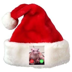 Bingus Is Calling My Beloved Hairless Sphinx Cat Gift Premium Christmas Santa Hat