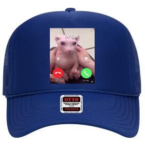 Bingus Is Calling My Beloved Hairless Sphinx Cat Gift High Crown Mesh Back Trucker Hat