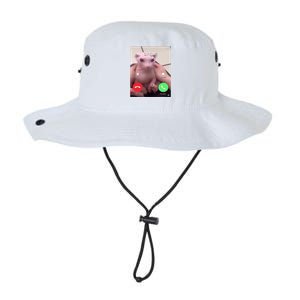 Bingus Is Calling My Beloved Hairless Sphinx Cat Gift Legacy Cool Fit Booney Bucket Hat