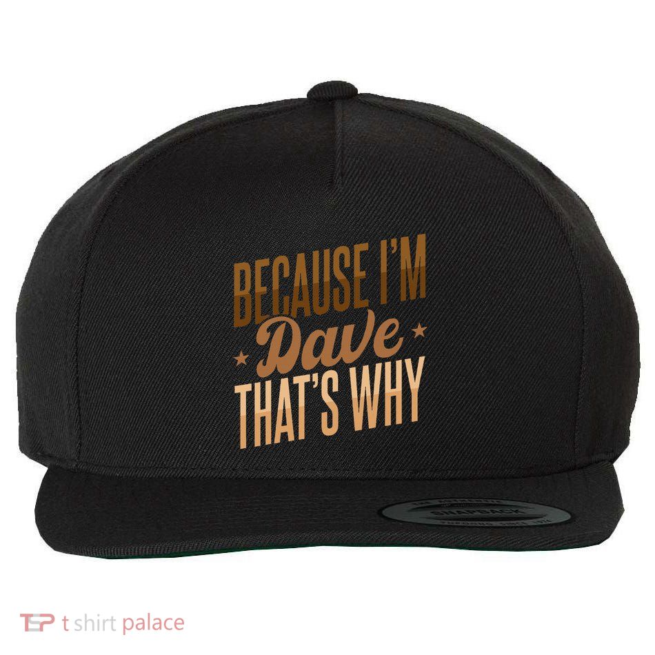 Because IM Dave ThatS Why Wool Snapback Cap