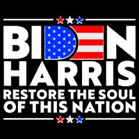 Biden Harris Restore The Soul Of This Nation Wool Snapback Cap