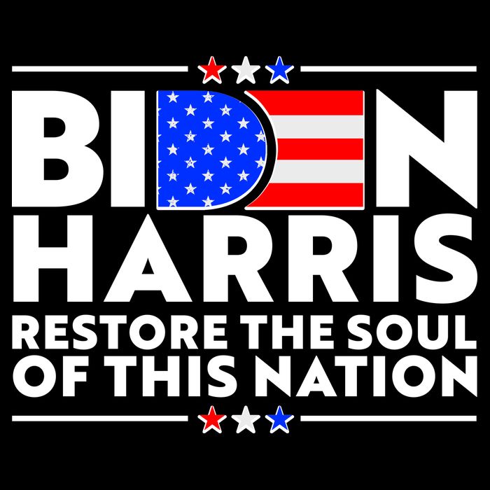 Biden Harris Restore The Soul Of This Nation Wool Snapback Cap