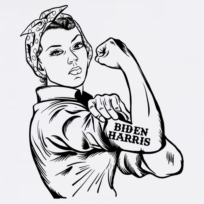 Biden Harris women we can do it Poster