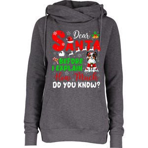 Before I Explain How Much You Know Xmas Papillon Owner Lover Womens Funnel Neck Pullover Hood