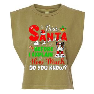 Before I Explain How Much You Know Xmas Papillon Owner Lover Garment-Dyed Women's Muscle Tee