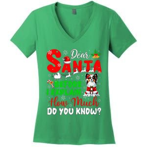 Before I Explain How Much You Know Xmas Papillon Owner Lover Women's V-Neck T-Shirt