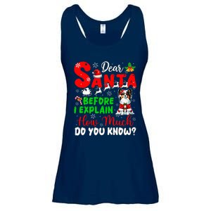 Before I Explain How Much You Know Xmas Papillon Owner Lover Ladies Essential Flowy Tank