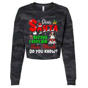 Before I Explain How Much You Know Xmas Papillon Owner Lover Cropped Pullover Crew