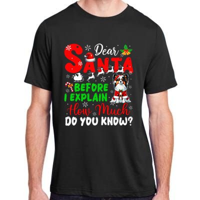 Before I Explain How Much You Know Xmas Papillon Owner Lover Adult ChromaSoft Performance T-Shirt