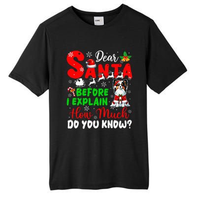 Before I Explain How Much You Know Xmas Papillon Owner Lover Tall Fusion ChromaSoft Performance T-Shirt