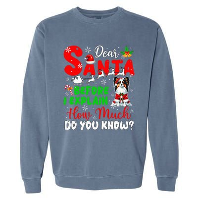 Before I Explain How Much You Know Xmas Papillon Owner Lover Garment-Dyed Sweatshirt