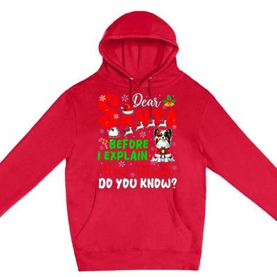 Before I Explain How Much You Know Xmas Papillon Owner Lover Premium Pullover Hoodie