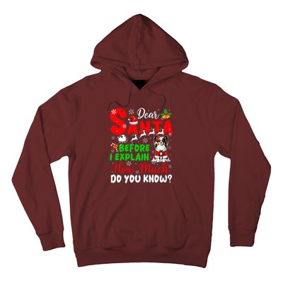 Before I Explain How Much You Know Xmas Papillon Owner Lover Hoodie