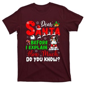 Before I Explain How Much You Know Xmas Papillon Owner Lover T-Shirt