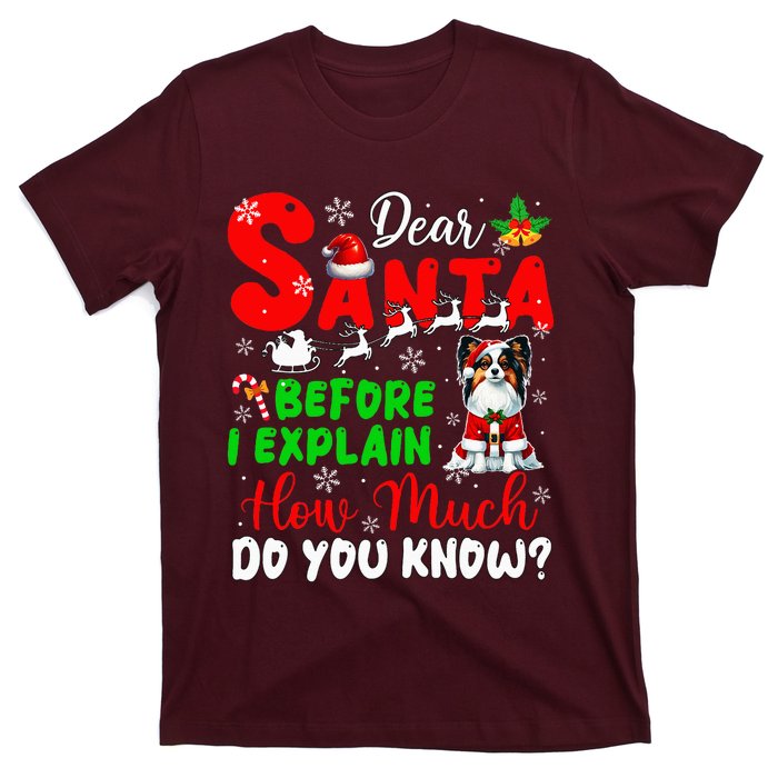 Before I Explain How Much You Know Xmas Papillon Owner Lover T-Shirt