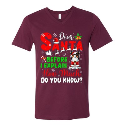 Before I Explain How Much You Know Xmas Papillon Owner Lover V-Neck T-Shirt