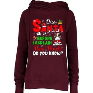 Before I Explain How Much You Know Xmas Papillon Owner Lover Womens Funnel Neck Pullover Hood