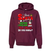 Before I Explain How Much You Know Xmas Papillon Owner Lover Premium Hoodie