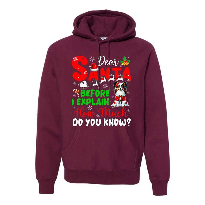 Before I Explain How Much You Know Xmas Papillon Owner Lover Premium Hoodie