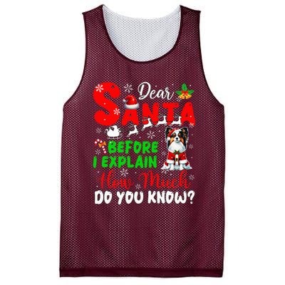 Before I Explain How Much You Know Xmas Papillon Owner Lover Mesh Reversible Basketball Jersey Tank