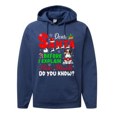 Before I Explain How Much You Know Xmas Papillon Owner Lover Performance Fleece Hoodie