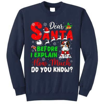 Before I Explain How Much You Know Xmas Papillon Owner Lover Sweatshirt