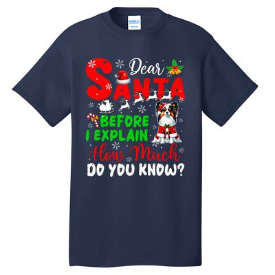 Before I Explain How Much You Know Xmas Papillon Owner Lover Tall T-Shirt