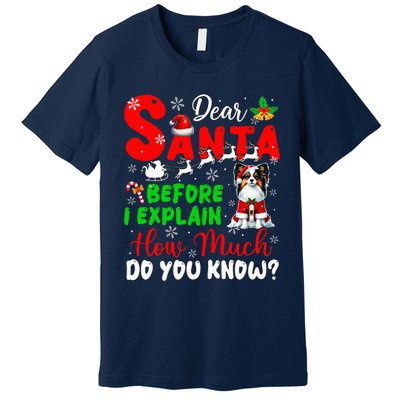 Before I Explain How Much You Know Xmas Papillon Owner Lover Premium T-Shirt