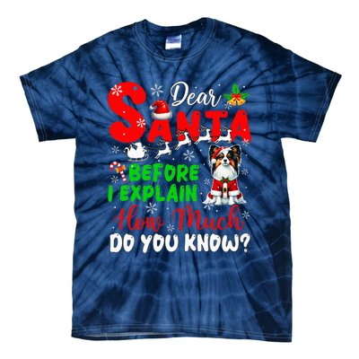 Before I Explain How Much You Know Xmas Papillon Owner Lover Tie-Dye T-Shirt