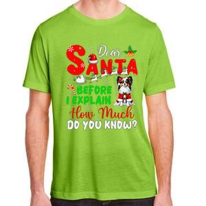 Before I Explain How Much You Know Xmas Papillon Owner Lover Adult ChromaSoft Performance T-Shirt