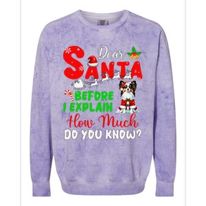 Before I Explain How Much You Know Xmas Papillon Owner Lover Colorblast Crewneck Sweatshirt