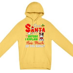 Before I Explain How Much You Know Xmas Papillon Owner Lover Premium Pullover Hoodie