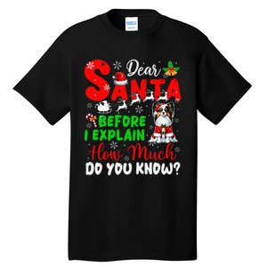 Before I Explain How Much You Know Xmas Papillon Owner Lover Tall T-Shirt