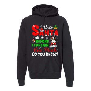 Before I Explain How Much You Know Xmas Papillon Owner Lover Premium Hoodie