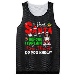 Before I Explain How Much You Know Xmas Papillon Owner Lover Mesh Reversible Basketball Jersey Tank