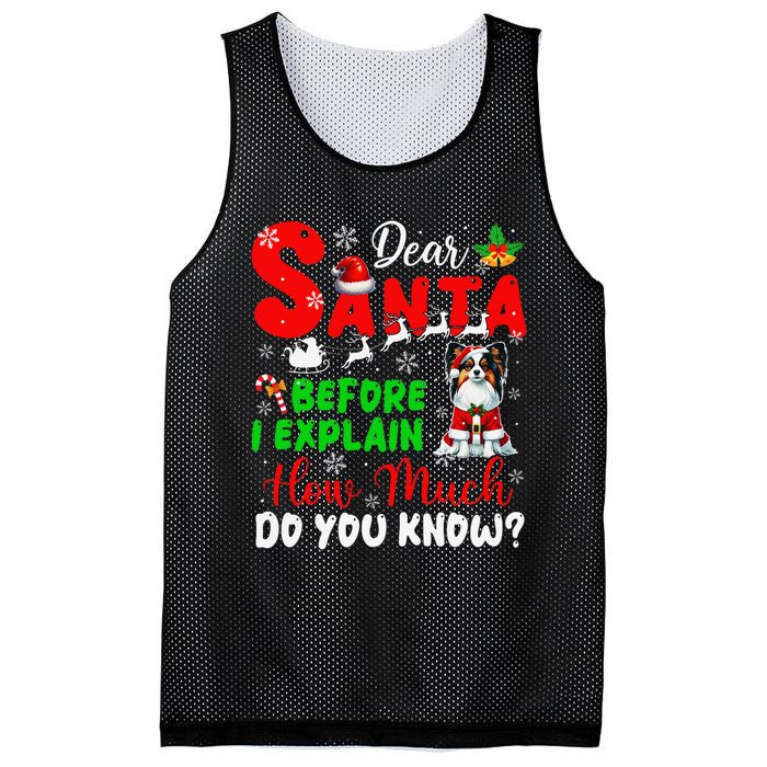 Before I Explain How Much You Know Xmas Papillon Owner Lover Mesh Reversible Basketball Jersey Tank