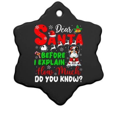 Before I Explain How Much You Know Xmas Papillon Owner Lover Ceramic Star Ornament